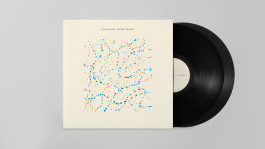 vega trails lp mockup 